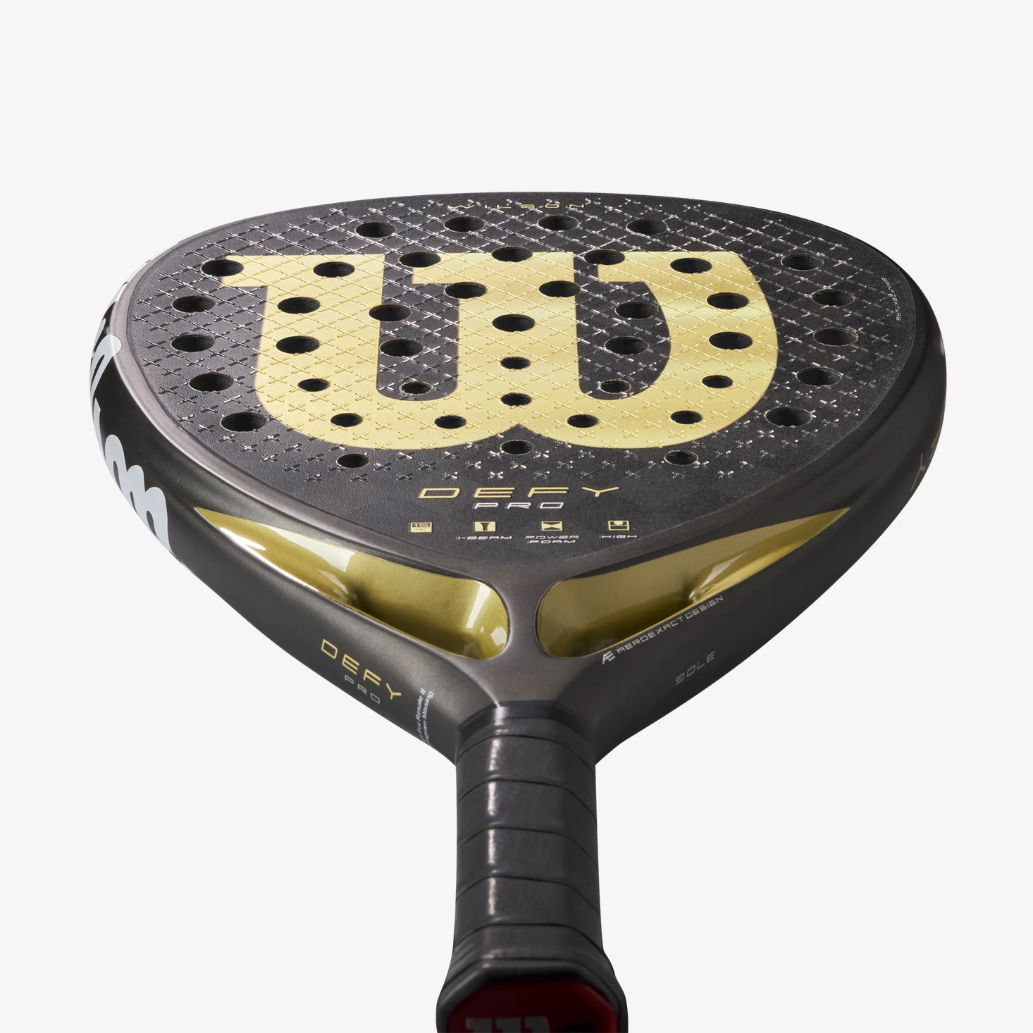 Immagine DEFY PRO V1