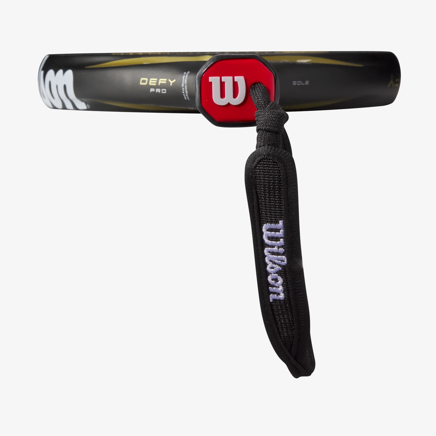 Immagine DEFY PRO V1