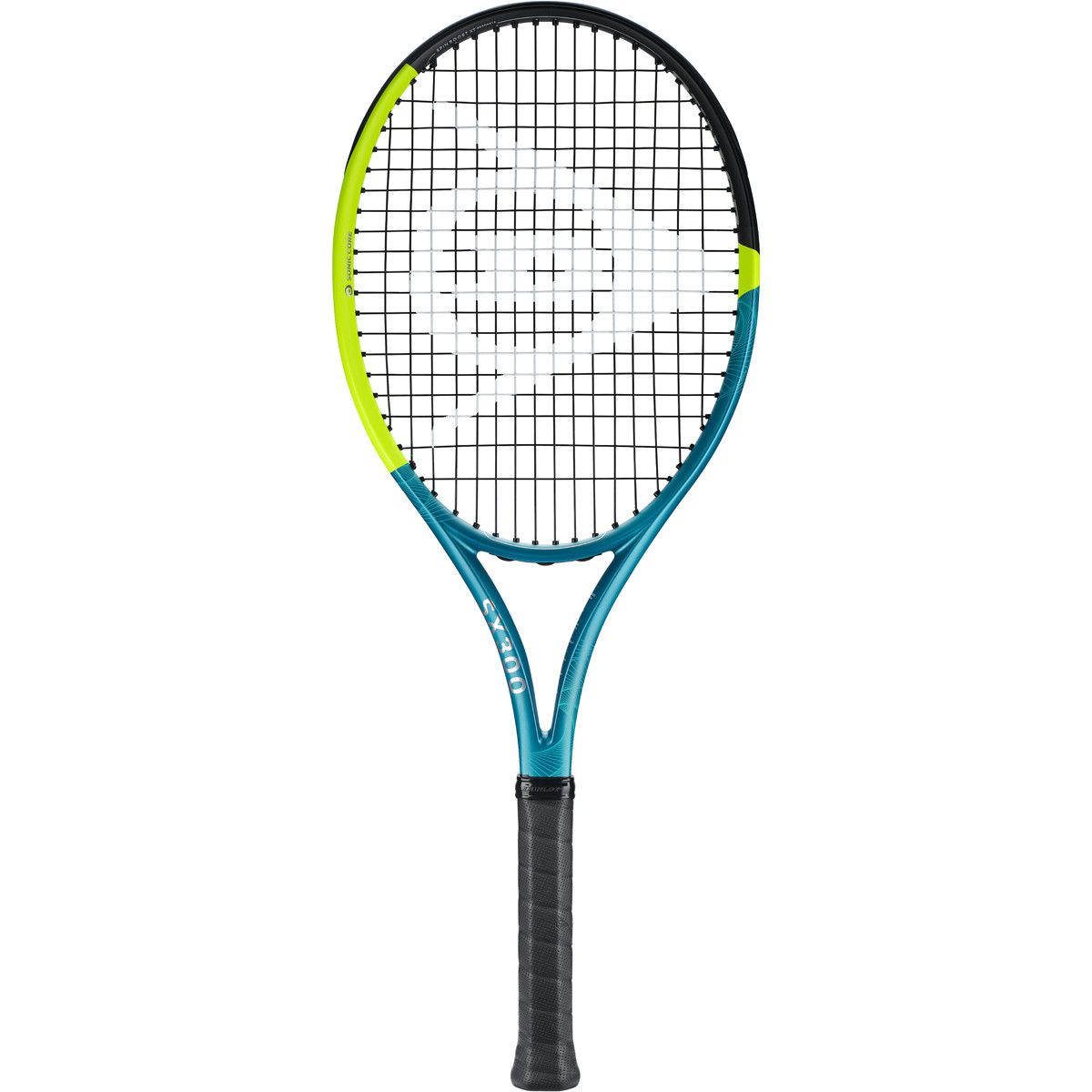 Immagine SX300